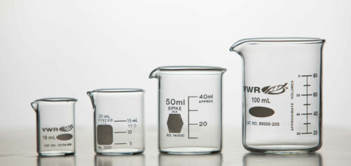 Four different sizes of Pyrex beakers.